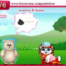 ���� ����, �����-���������, 27 ��� - ��������� 23 ������ 2010