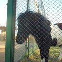 ���� �����, �����-���������, 37 ��� - ��������� 30 ����� 2012 � ������ ���� ����������