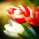 ���� ����� - ���������� ��������!!!, �����������, 56 ��� - ��������� 21 ������ 2010 � ������ ��������ۻ