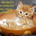 ���� �������, ������ ��������, 54 ���� - ��������� 2 ������� 2013 � ������ �����