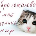 ���� ����, ������, 24 ���� - ��������� 19 ������ 2010 � ������ ���������