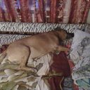 ���� ������, ������, 54 ���� - ��������� 4 ���� 2012 � ������ ���� ����������