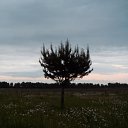   ™, , 54  -  14  2010   Krasnoyarsk