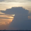 ���� ��������, ������, 42 ���� - ��������� 13 ����� 2011 � ������ ���� ������