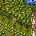  s__mnik,  -  9  2012   Tropikania