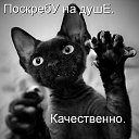 ���� ������, �����������, 51 ��� - ��������� 7 ��� 2012 � ������ �������