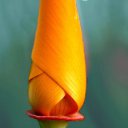 ���� �������, ����, 40 ��� - ��������� 7 ���� 2010 � ������ ������ ��� ��� )))�