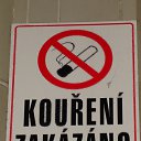 ���� �������, ���������, 51 ��� - ��������� 28 ����� 2010 � ������ �������