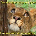 ���� ���, ������ - ��������� 2 ������ 2009 � ������ ��������