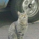 ���� Corrado666, �������, 41 ��� - ��������� 10 ������ 2009