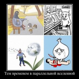 ���� ������, �����-���������, 33 ���� - ��������� 25 ��� 2012