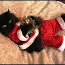 -  ,       ? -           ....   