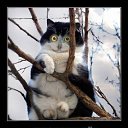 ���� 13�����13, �������, 47 ��� - ��������� 25 ������ 2012