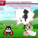  , , 24  -  1  2010   PetLove