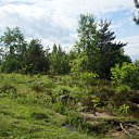  Serzh Van Der Maaremaan,  -  9  2010   