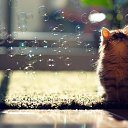���� ��������, ��������, 60 ��� - ��������� 21 ���� 2013 � ������ ��� ���� ��...�