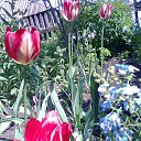 ���� Natali, ������, 67 ��� - ��������� 23 ������� 2012 � ������ �������