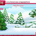 ���� �����, ���������, 24 ���� - ��������� 31 ������ 2011 � ������ �PetLove�