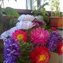 ���� ���������, �����������, 49 ��� - ��������� 5 �������� 2011 � ������ ������)))�