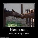���� Nataly, �������, 54 ���� - ��������� 18 ������� 2010 � ������ �Love is...�