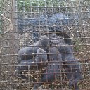 ���� �����, �������, 42 ���� - ��������� 16 �������� 2012 � ������ ���������