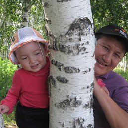 �����, ���������, 64 ����