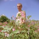 ���� �������, ������, 48 ��� - ��������� 20 ���� 2013 � ������ ���� ����������