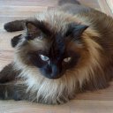   ( ),  -  23  2010     Ҹ!!!