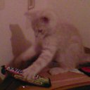 ���� ������, ���� - ��������� 3 �������� 2010