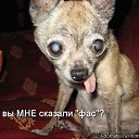 ���� ����, ��� - ��������� 18 ������ 2010 � ������ �������