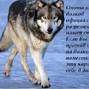 ���� "@����", �����-���������, 25 ��� - ��������� 26 ��� 2010 � ������ �����Ȼ