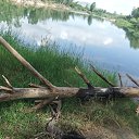 ���� �����, ������ - ��������� 28 ���� 2013 � ������ ���� ����������