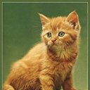 ���� (=�����=), ������, 50 ��� - ��������� 27 ���� 2010