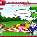  , , 41  -  29  2010   PetLove