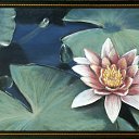 ���� ����. ��������� �� ��!, ������, 72 ���� - ��������� 15 ������ 2012 � ������ ���������