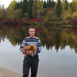 Skrippa, �����, 52 ����