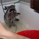 ���� �����, �����-���������, 57 ��� - ��������� 26 ������� 2010 � ������ �������