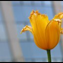  Mari,  -  26  2010   -