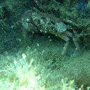 ���� �����, ���������, 48 ��� - ��������� 21 ������� 2012 � ������ ���� ����������