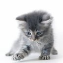 ���� �����, ������, 26 ��� - ��������� 25 ���� 2010 � ������ ���������