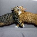 ���� ����. ��������� �� ��!, ������, 72 ���� - ��������� 28 ����� 2011 � ������ �������� ����