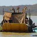 ���� Edgarihe, ����������� - ��������� 29 ������ 2011 � ������ ������ ��������