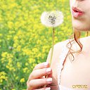 ���� ����, ���������, 41 ��� - ��������� 11 ���� 2013 � ������ ���� ����������