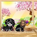 ���� ����, ���!, 36 ��� - ��������� 25 ������� 2011 � ������ �������������... ��� ��������� �������