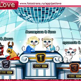 ���� �����, ���������, 43 ���� - ��������� 27 ������� 2011