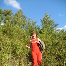 �������, ��������, 67 ���