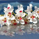 ���� ����� - ���������� ��������!!!, �����������, 56 ��� - ��������� 15 ������ 2010 � ������ �������� ��� ���� :-)))�