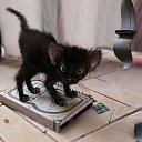 ���� ����. ��������� �� ��!, ������, 72 ���� - ��������� 28 ����� 2011 � ������ �������� ����