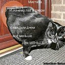 ���� �������, ������, 52 ���� - ��������� 29 ������ 2011 � ������ �������������