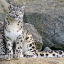 ���� ����, �����-��������� - ��������� 15 �������� 2011 � ������ ���� ������� ������� � ����)�